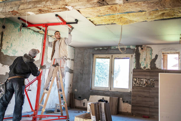 Best Attic Insulation Installation  in Walnut, IL