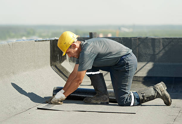 Best Spray Foam Insulation  in Walnut, IL